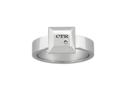 J132  "Iris" Stainless Steel CTR Ring