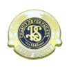 J17 Relief Society Lapel Pin